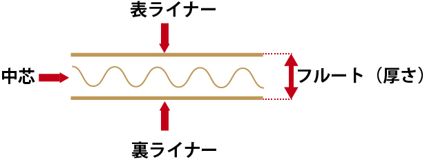 ダンボールシートの名所説明